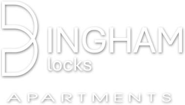 Bingham Blocks logo